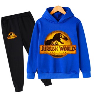 เสื้อกันหนาว มีฮู้ด แบบสวมหัว ลายไดโนเสาร์ Jurassic World Dominion แฟชั่นสําหรับเด็กผู้ชาย และเด็กผู้หญิง