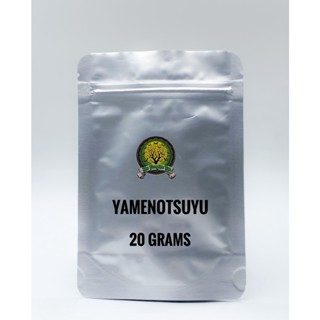 (ของแท้) Yamenotsuyu (กระปุกฟ้า) มัทฉะจากฟุกุโอกะ (Gokou, Samidori, Okumidori, Saemidori cultivar)