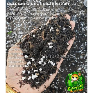ดินผสมพร้อมปลูกกระบองเพชร ไม้ฟอกอากาศ ไม้ในร่ม ไม้ใบ ไม้ด่าง ดินเพาะเมล็ด ดินกุหลาบ🌹ข