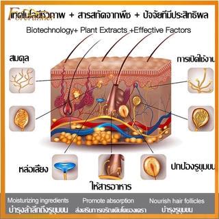 เซรั่มปลูกหนวด 30ml SADOER น้ำยาปลูกคิ้ว เหมาะสำหรับใช้กับ คิ้ว เครา เส้นผม ยาปลูกหนวด น้ำยาปลูกหนวด เซรั่มปลูกเครา 837