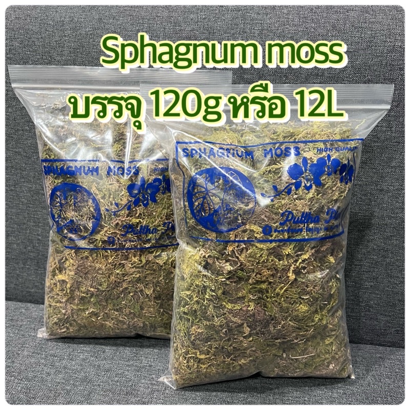 Sphagnum moss สแฟกนั่มมอส มอสแห้ง มอสเลี้ยงสัตว์ มอสเขียว 120กรัม – โปรปัง