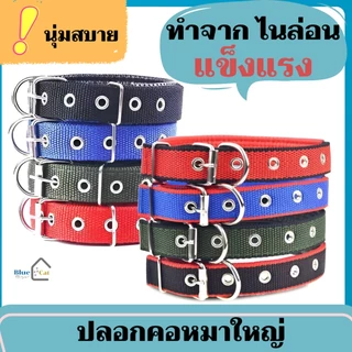 ปลอกคอหมา XL ปลอกคอสุนัขโต สัตว์เลี้ยง พร้อมส่ง หมาพันธ์ใหญ่ ปลอกคอผ้าไนล่อน ปลอกคอหมาใหญ่ไนลอน