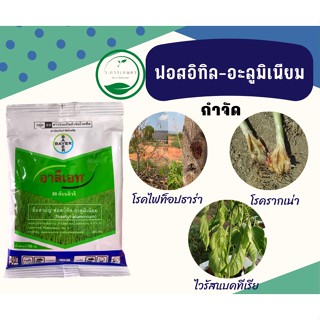 อาลีเอท (ฟอสอิทิล-อะลูมิเนียม) บรรจุ 100 กรัม 🌳 ป้องกันเชื้อราโรครากเน่าโรคเน่า ไฟท๊อป