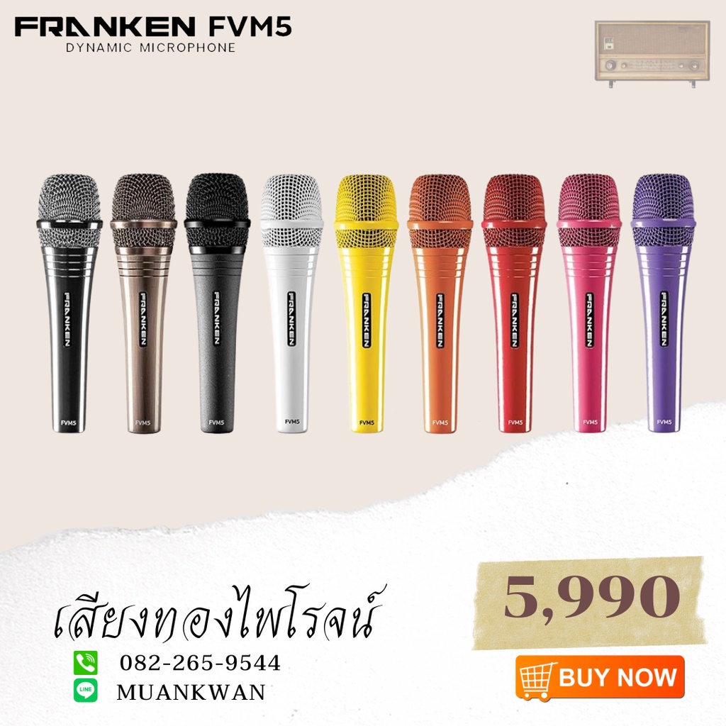 Dynamic Microphone franken fvm5
