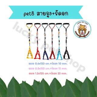 pet8 สายจูง+รัดอกสำหรับสัตว์เลี้ยง (คละสี) เลือกสีไม่ได้