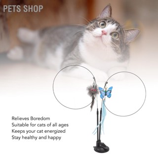 Pets Shop ของเล่นไม้กายสิทธิ์ ลวดเหล็ก สองหัว ถอดออกได้ สําหรับสัตว์เลี้ยง แมว