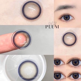 สีPlum รุ่นMild (คอนเเทคเลนส์รายปี) วัสดุMPCแบบนิ่มพิเศษ Idollens