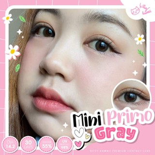 คอนแทคเลนส์ รุ่น mini Primo ยี่ห้อKitty Kawaii สีเทา มีค่าสายตา