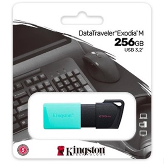 Kingston 256GB DataTraveler Exodia M USB 3.2 DTXM/256GB  Flash Drive