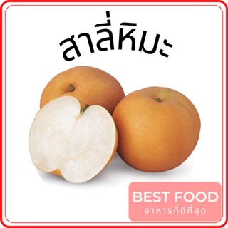 สาลี่หิมะ Pyrus nivalis