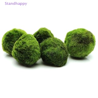 Standhappy ใหม่ ลูกบอลมาริโมะ สาหร่าย กุ้ง ปลา 2-3 ซม.