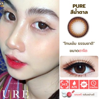 ไม่แถมตลับ Pure Brown (ตาโต) คอนแทคเลนส์ Wink