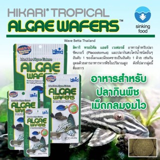 Hikari ALGAE WAFERS 20g./40g. Tropical ฮิคาริ ทรอปิคอล แอลเก้ เวเฟอร์ อาหารปลากินพีช กินตะไคร่น้ำ เม็ดจม จมไว wafer