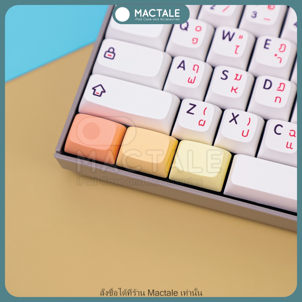 Mactale Blank Keycaps สี คีย์แคปเปล่า ของแท้ XDA ,PBT ขนาด 1u,1.25U,1.75U,1.5U ปุ่มกด คีย์บอร์ด for Mechanical Keyboard ราคา ถูกที่สุด ดีลบีเคเค แกลเลอรีภาพที่ 4