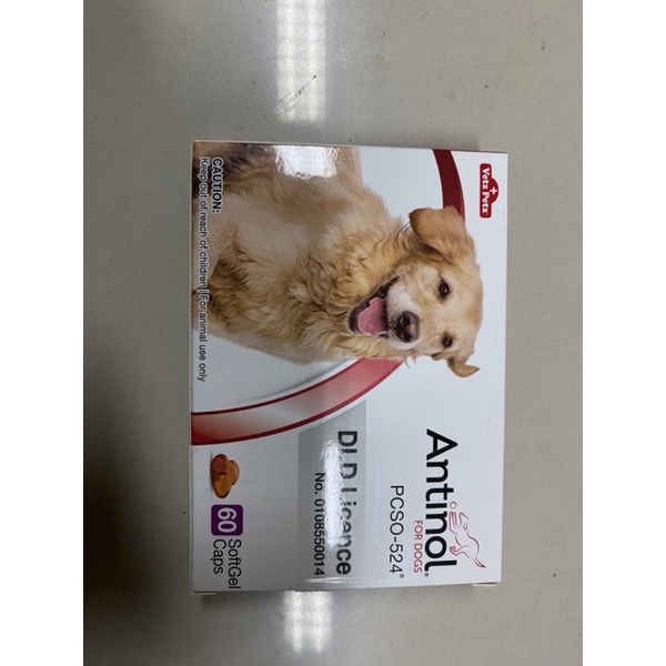 Antinol for dogs ยาบำรุงสำหรับสุนัข 2 แผง 60 เม็ด