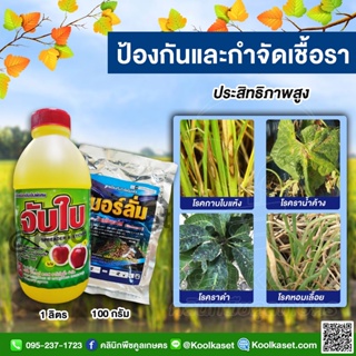 จับใบ มอร์ลั่ม 1 ลิตร กำจัดโรคข้าวใบจุด ใบไหม้ ราน้ำค้าง ราดำใบส้ม หอมเลื้อย ราแป้ง สารจับใบแน่น คูลเกษตรKF59