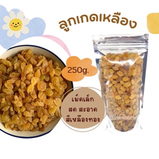ลูกเกดเหลือง 250 กรัม(เม็ดแห้ง สวย สะอาด)