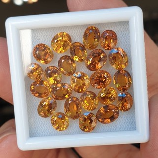 ( ราคาเม็ดละ 3,200 บาท ส่งฟรี ! ) บุษราคัม บางกะจะ ( Yellow Sapphire ) น้ำหนักเม็ดละ 1กะรัต พลอย พลอยแท้ หิน หินแท้