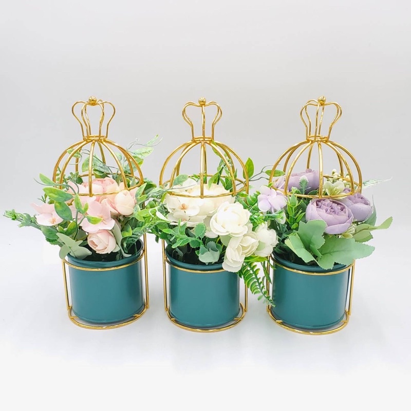 (2) ตกแต่งบ้าน ต้นไม