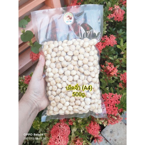 แมคคาเดเมีย อบพร้อมทาน เม็ดจิ๋ว(A4) 500g.