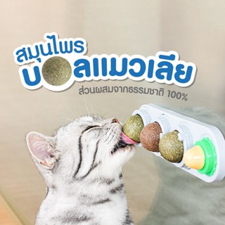 สมุนไพรแมวเลีย ลูกบอลแมวเลีย มีแผ่นแปะกำแพง ของเล่นแมว ลูกอมแมว cat แคทนิปบอล Catnip Ball ลูกบอล