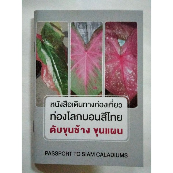 หนังสือเดินทางท่องเที่ยวท่องโลกบอนสีไทย ตับขุนช้างขุนแผน