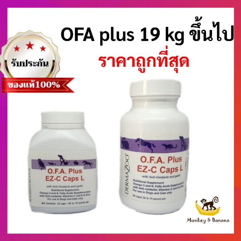 OFA Plus EZ-C Caps  บำรุงขนและผิวหนัง สุนัขพันธ์ใหญ่ 19 กก. ขึ้นไป