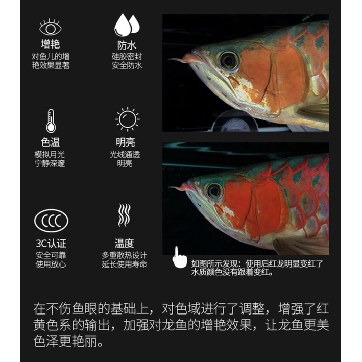 Mayin Arowana  SUPER COLOUR หลอดไฟสำหรับปลามังกรแดงและปลาสวยงามทุกชนิด ขนาด 112cm. 142cm. 172cm.
