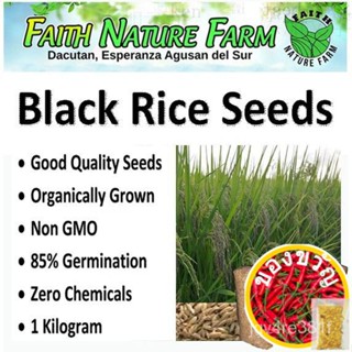 Organic Black Rice Seedsvnon GMO(It S A SEED, Not A Plant!) ผักชีฝรั่ง/ผักชีฝรั่ง/ผั่งแม่น้ำ/กระโปรง/กระ/เซล็ตต์/กางเกง