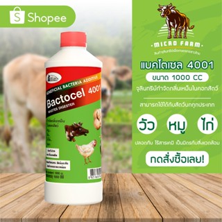 แบคโตเซล 4001 Bactocel 4001 ขนาด 1000 ml. 1 5-12 ขวด ดับกลิ่นเหม็นคอกสัตว์ จุลินทรีย์คอกสัตว์ ยาดับกลิ่นคอกสัตว์