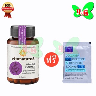 Vitanature สารสกัดพรมมิ ผสมสารสกัดใบแปะก๊วย อาหารเสริมบำรุงสมอง และความจำ 1 กระปุก