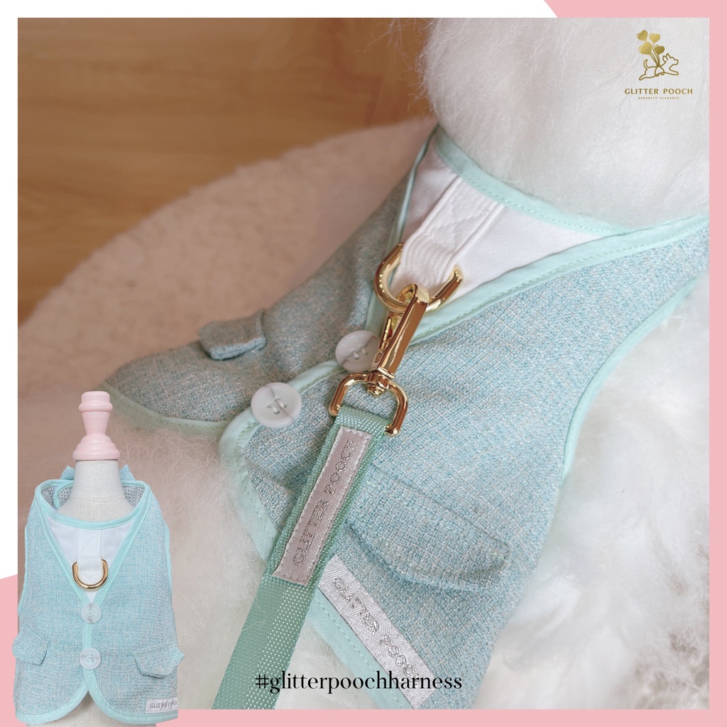 Glitter Pooch Harness ชุดรัดอก สายจูง เสื้อผ้า สุนัข, หมา, แมว, สัตว์เลี้ยง พร้อม สายจูง รุ่น Minty Boy