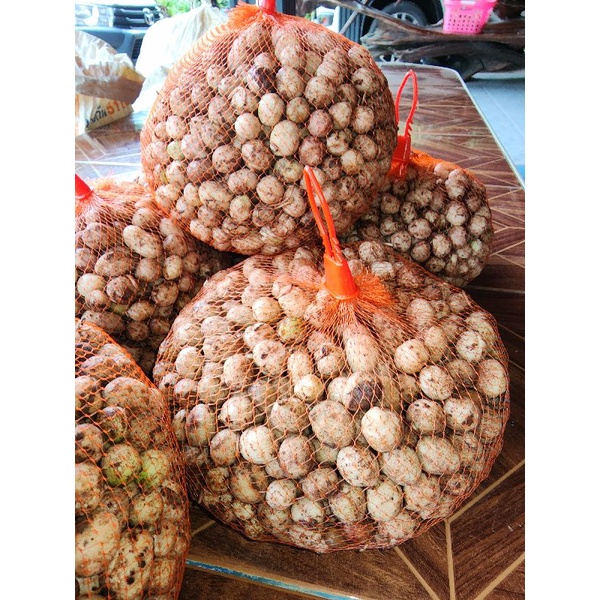 ถั่วหรั่งสดชุด2กก.ส่งฟรี(อ่านรายละเอียดก่อนสั่งนะคะ)