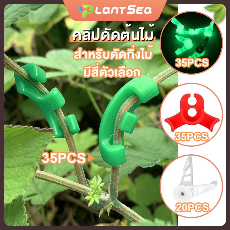 ที่ดัดต้นไม้ ดัดต้นไม้ 35pcs/20pcs ที่ดัดกิ่งไม้ สำหรับดัดต้นไม้ คลิปดัดต้นไม้ LST ช่วยเพิ่มผลผลิต แบบใช้ซ้ำได้