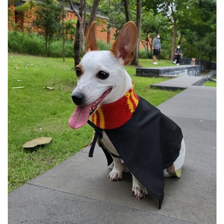 ชุด Halloween Harry Potter pets scarf ผ้าคลุมพ่อมด ผ้าคลุม แฮรี่ ผ้าพันคอ hogwarts