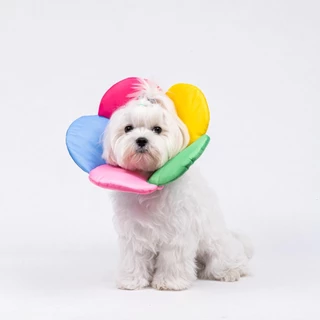 PETSIDE Soft Collar Flower Cone