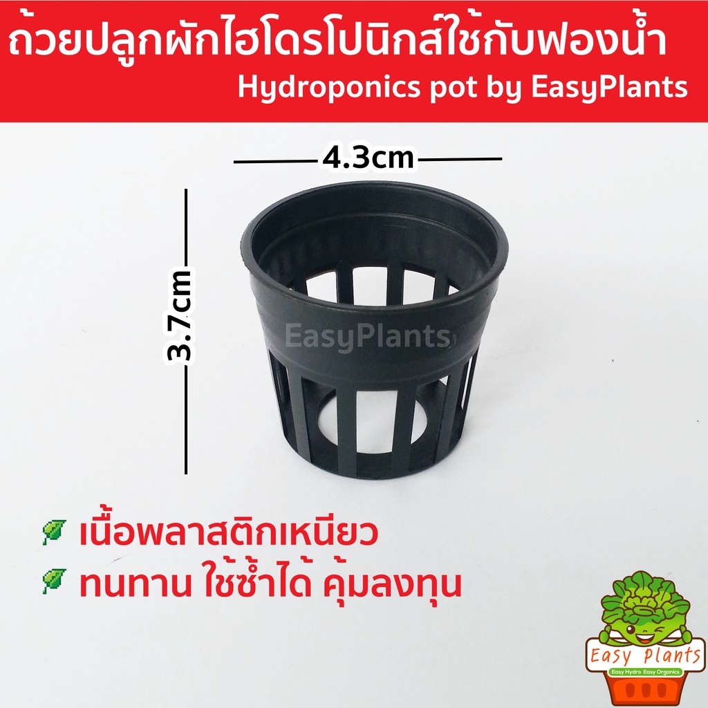ถ้วยปลูกผักไฮโดรโปนิกส์ สีดำ แพ๊ค 50 และ 100 ใบ ถ้วยปลูก เนื้อเหนียว ทนทาน ใช้ซ้ำได้หลายรอบ