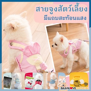 🐶 สายจูงสัตว์เลี้ยง 🐶  สายจูงแมว สายจูงหมา เชือกจูงสัตว์เลี้ยง ที่จูงสัตว์ ที่จูงสัตว์เลี้ยง พร้อมแถบสะท้อนแสง