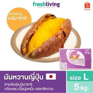 มันหวานญี่ปุ่น เบนิมาซาริ ไซส์ L ยกลัง 5Kg. กลิ่นหอม เนื้อนุ่มหนึบ รสชาติหวาน Shitori