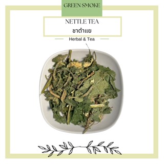 Nettle Tea ชาใบตำแย (Urtica Dioica)