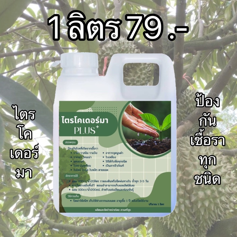 ไตรโคเดอร์มาplus ป้องกันเชื้อราทุกชนิด ขนาด 1 ลิตร