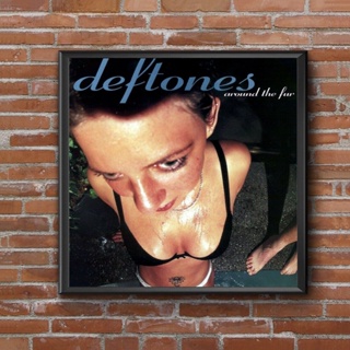 Deftones โปสเตอร์ภาพวาดผ้าใบ รูปนักร้อง ดาว ขนเฟอร์ สําหรับตกแต่งผนัง zfx 1009