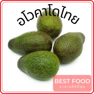 อโวคาโดไทย Thai Avocado