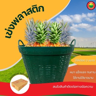 เข่งพลาสติก เบอร์2, 3, 4 คละสี Plastic basket ตะกร้า เข่ง พลาสติก ใส่ ผลไม้ ทุเรียน กลม ปลูกต้นไม้ ขยะ ผัก มิตสห Mitsaha