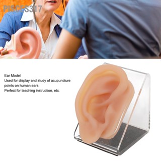 Pisces317 Silicone Ear Model Simulated Acupuncture Practice Tool with Display Stand for Piercing