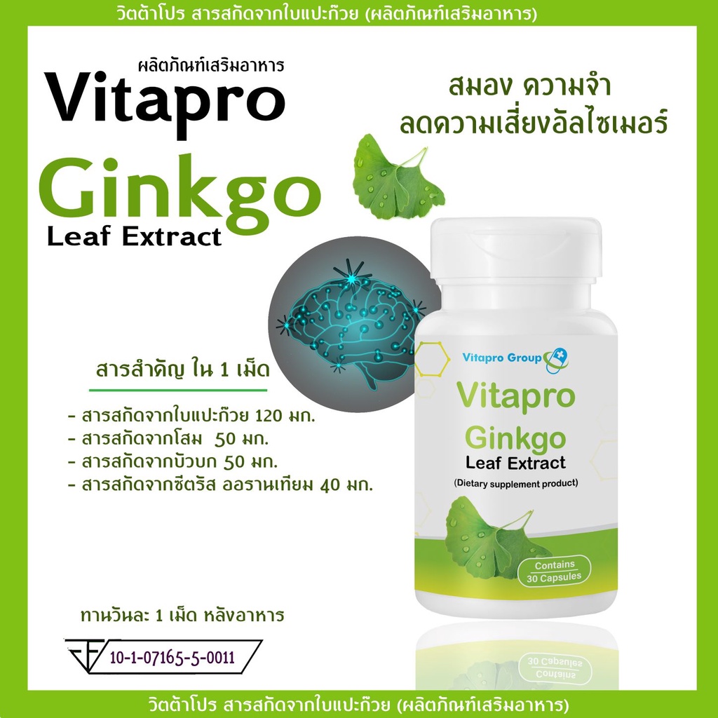โปรลดแรง...Ginkgo แปะก๊วย 120 มก. 30 เม็ด Vitapro Ginkgo Leaf ผลิตภัณฑ์เสริมอาหาร ระบบประสาท ความจำ