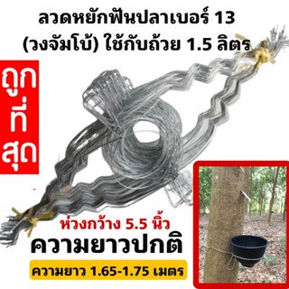 ลวดรัดต้นยางพารา ลวดหยักฟันปลาเบอร์ 13 วงจัมโบ้(ใช้กับถ้วย 1.5 ลิตร) มัดละ 100 เส้น สั่งได้ไม่เกิน 300 เส้น/ 1 ออเดอร์