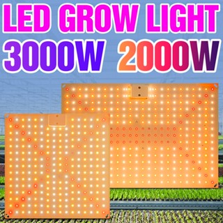 โคมไฟสเปกตรัม LED 3000W 220V 2000W AC100-277V สําหรับปลูกพืชในร่ม