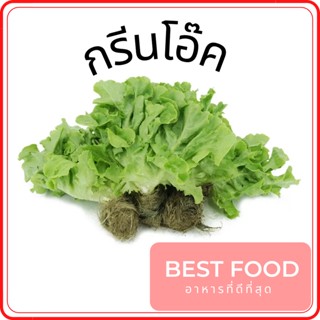 กรีนโอ๊ค green oak ผักสลัด