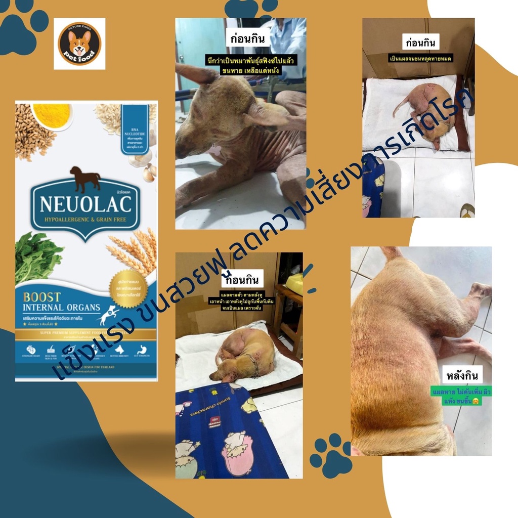 อาหารเสริม NEUOLAC ขนาดทดลอง เม็ดขนาด 6 มม. บำรุงร่างกายจากการป่วยผ่าตัดบำรุงเส้นขน เเบบเม็ดสำหรับสุนัขพันธุ์ใหญ่-ก - รูปที่ 4